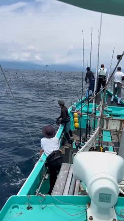 今日も１日中半端ないですの記事動画