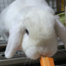 今日で暫く休み無しの画像