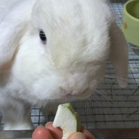 そう言えばの画像
