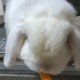 取り越し苦労の画像