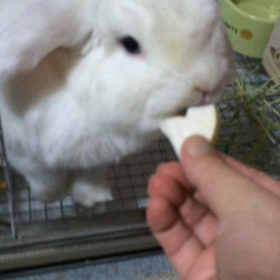 何故だろう ？の画像