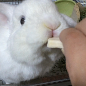 久しぶりのの画像