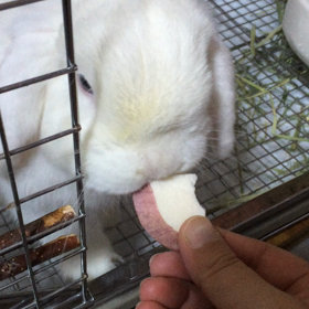 吸い込まれる動画の画像