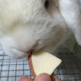 手が荒れてるなぁの画像
