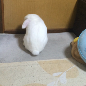 撮りましたの画像