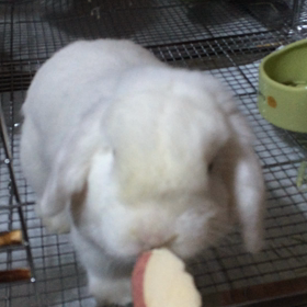 あなたならどうする？の画像