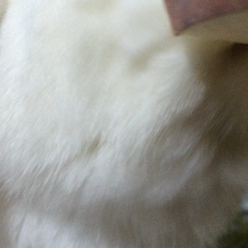 口元の画像