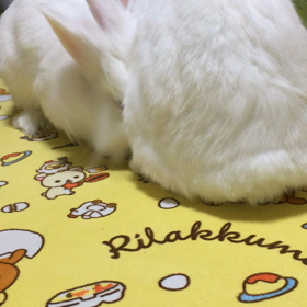 ゆっきーパパの撮った動画の画像