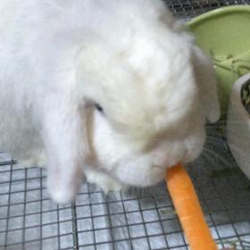 胃がキリキリの画像