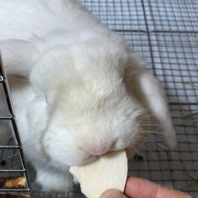 使いにくいの画像