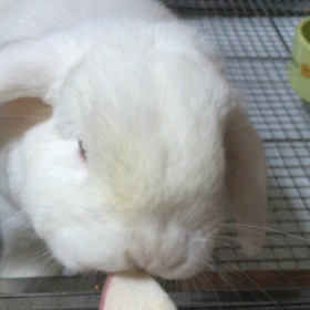 遅く起きた昼の画像