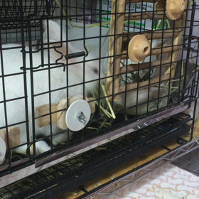 コレは⁈の画像