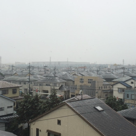 11月24日のの画像