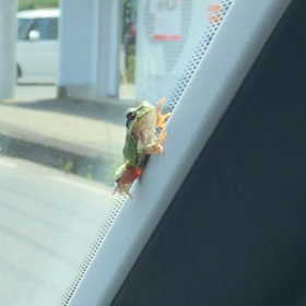 7月12日…何故か車内にの画像
