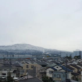 11月24日の…午後の画像