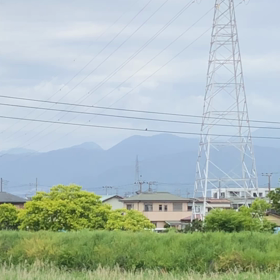 05月08日…その２…懲りもせずカワセミさんの画像