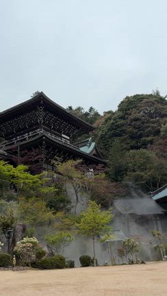 私が『本質』を学び直した理由の記事動画