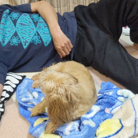 アホなんやけどね…の画像