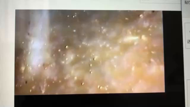 竹の神水の記事動画