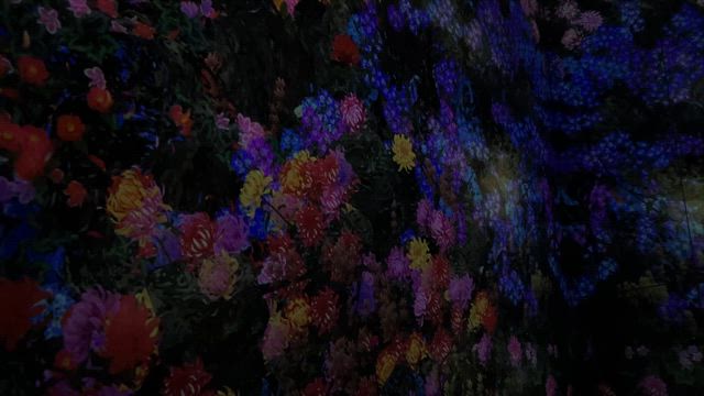 TeamLab Biovortex Kyotoの記事動画