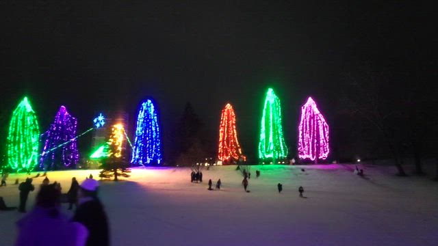 39th Annual Lions Festival of Lightの記事動画