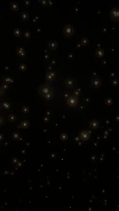 TeamLab Biovortex Kyotoの記事動画