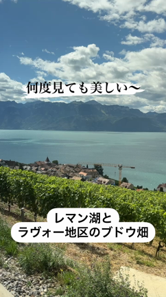 【レマン湖とラヴォー地区のブドウ畑】の記事動画