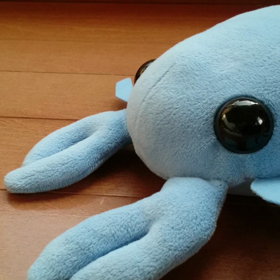 なんで～。。。の画像