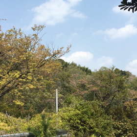 寝る前に自分の疲れの癒し方の画像