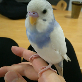 ☆癒し☆の画像