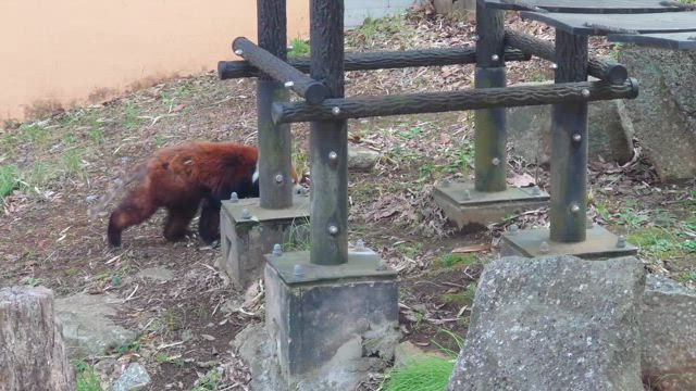 3月の我が家的お出かけ備忘録☆の記事動画