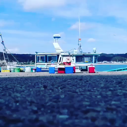 「上空より興津湾と庄之助丸の巻。」の記事動画