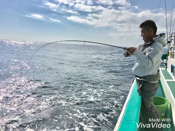 「今週の予定」の記事動画