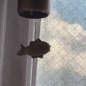地震で揺れたの画像