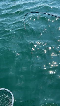 鳴門海峡タイラバデビュー✨の記事動画