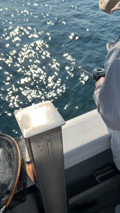 鳴門海峡タイラバデビュー✨の記事動画