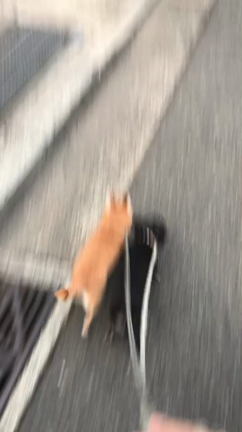 只今、鋭気充電中につきの記事動画