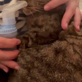 るんたん「吸入」開始〜の画像