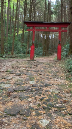 なんちゃって山登りの記事動画