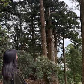 僕のポエムを動画にしてみた❣️part.39の画像