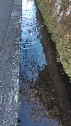 自主トレ休養日はぶらり飫肥城下町の記事動画