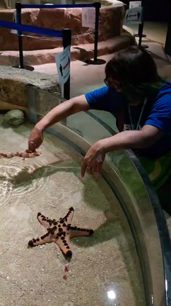 GoTo沖縄～ステキ！かりゆし水族館～の記事動画