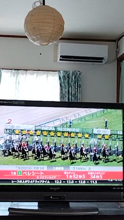 夏パン選手権エントリーといろいろ(*^▽^*)の記事動画