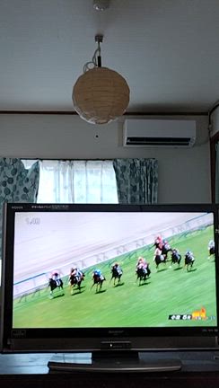 夏パン選手権エントリーといろいろ(*^▽^*)の記事動画