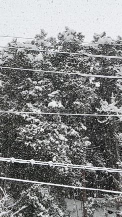 積雪40cm！雪の絵本♪の記事動画