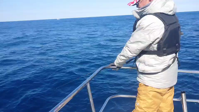 クルージングしてきました。の記事動画