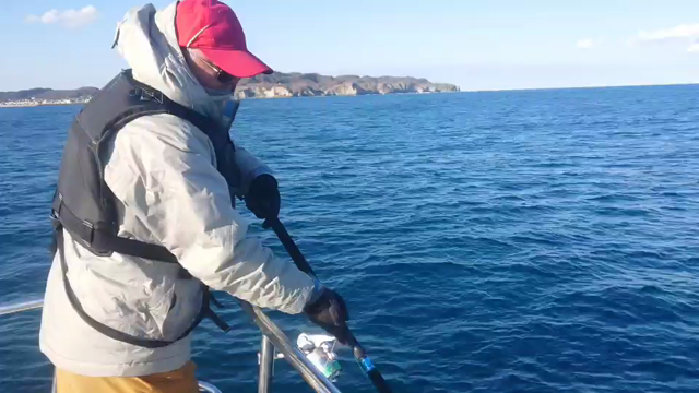 クルージングしてきました。の記事動画