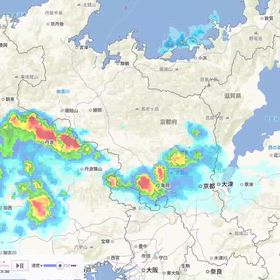 今日もの画像
