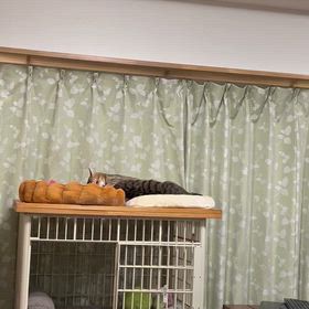 仲良しコンビもたまには…の画像