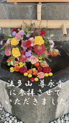 箱根神社と法多山尊永寺に行ってきました⛩の記事動画